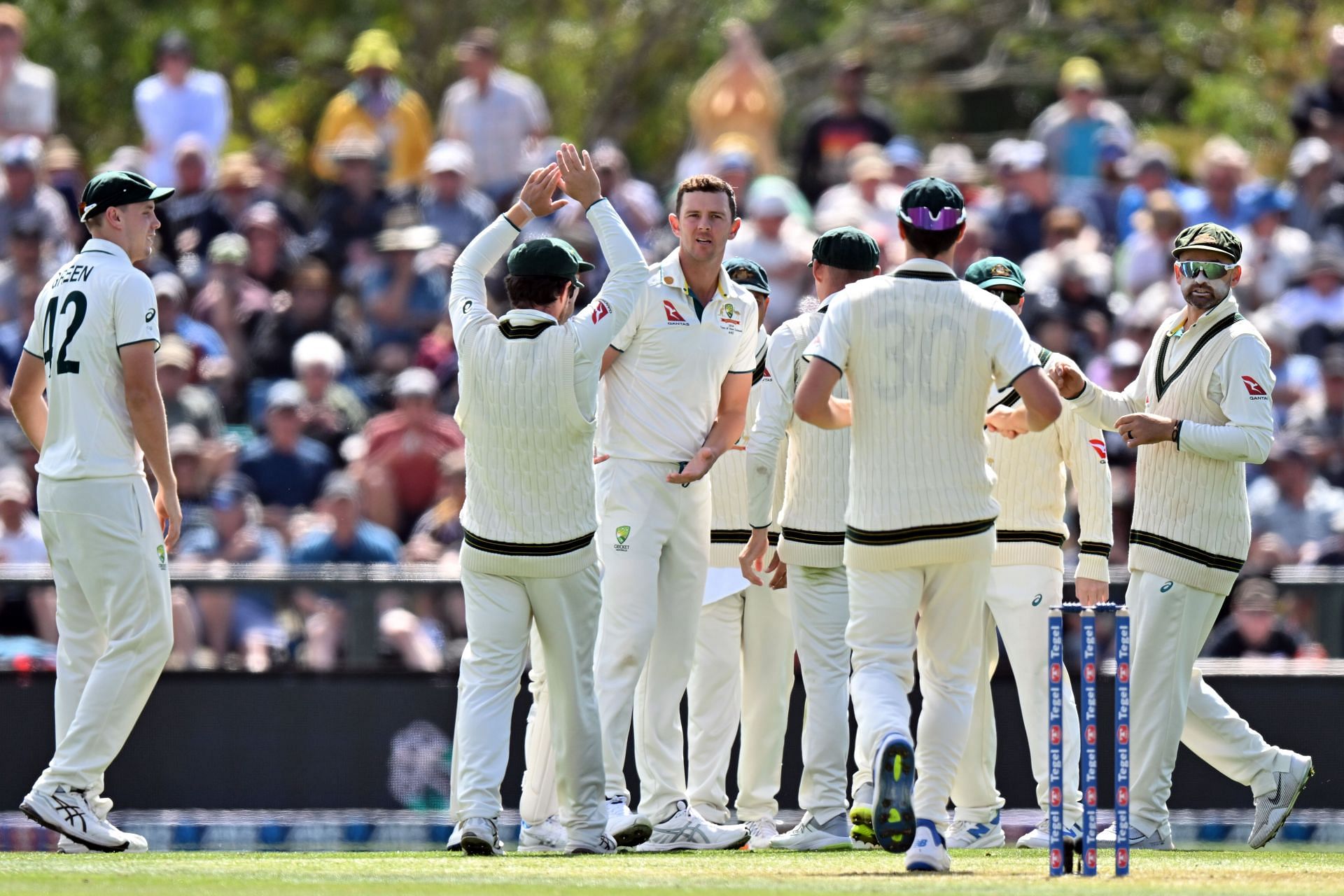 Hazlewood celebrates picking a wicket in the second Test against New Zealand.