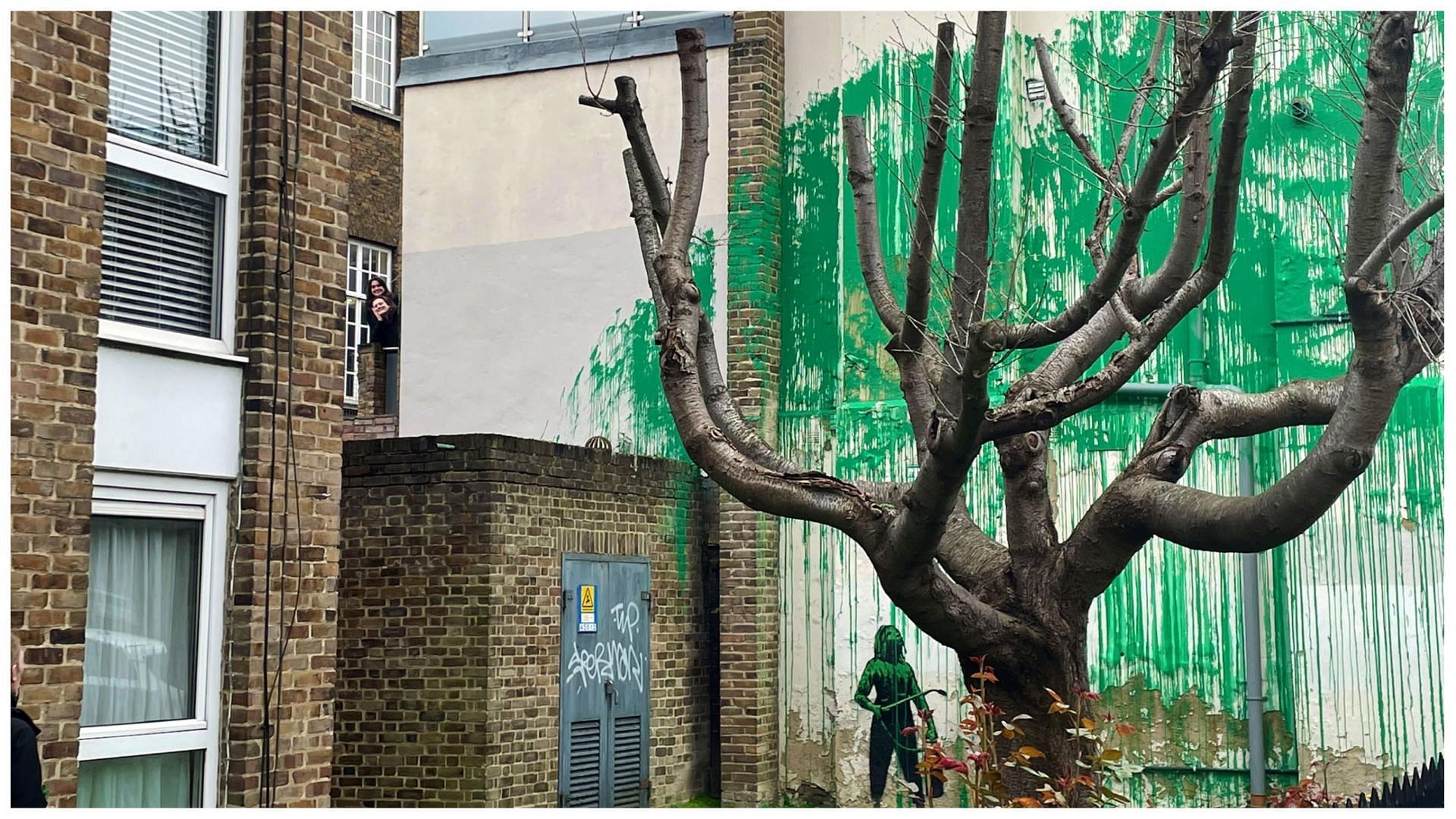 New tree artwork in Finsbury Park suspected to be the work of graffiti artist Banksy (Image via @STRAWPlymouth/X) 