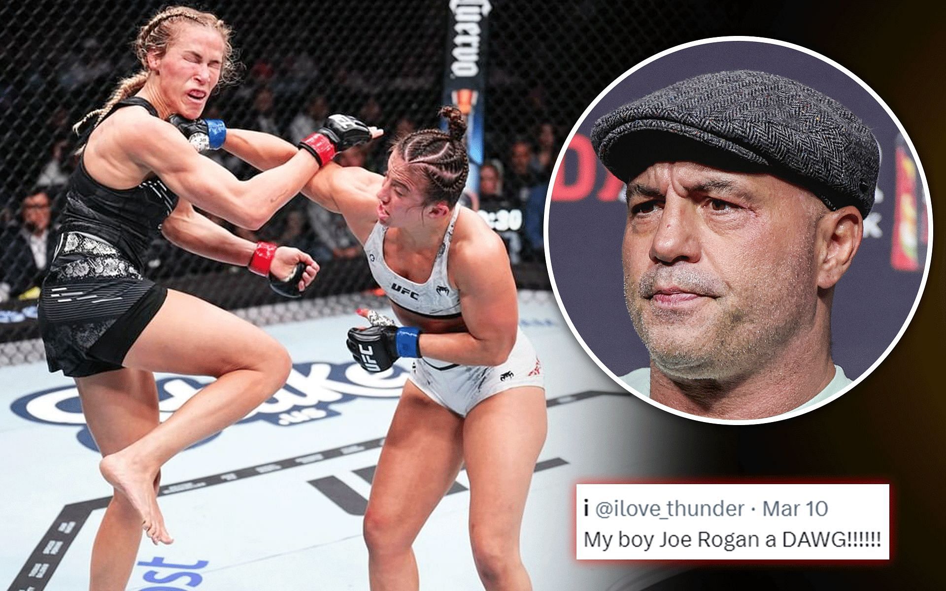 Fans react to Joe Rogan
