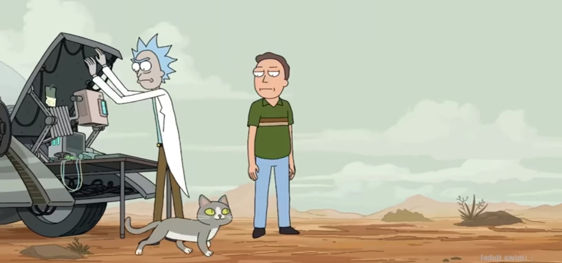 The cat can talk (Image via AdultSwim@YouTube)