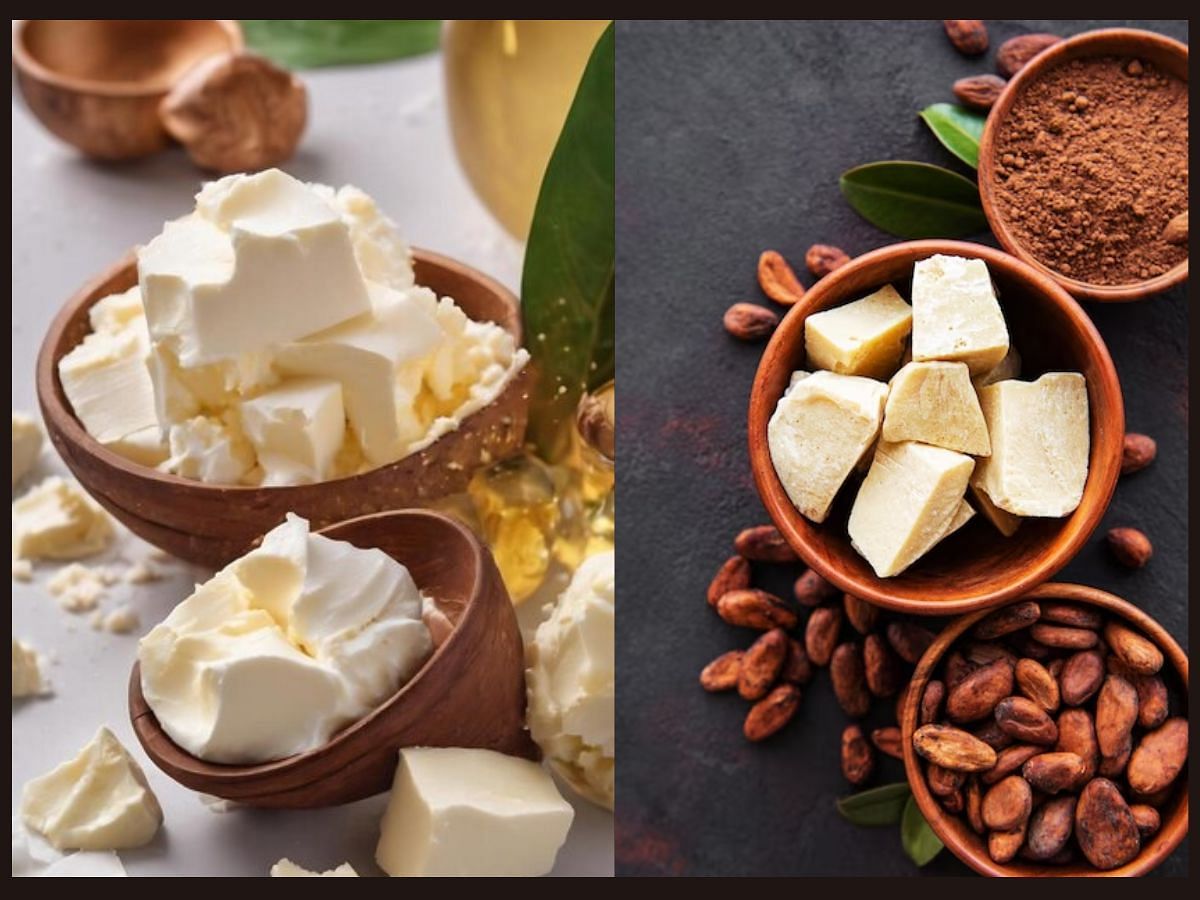 Cocoa butter vs shea butter (Image via Sportskeeda, @Freepik)