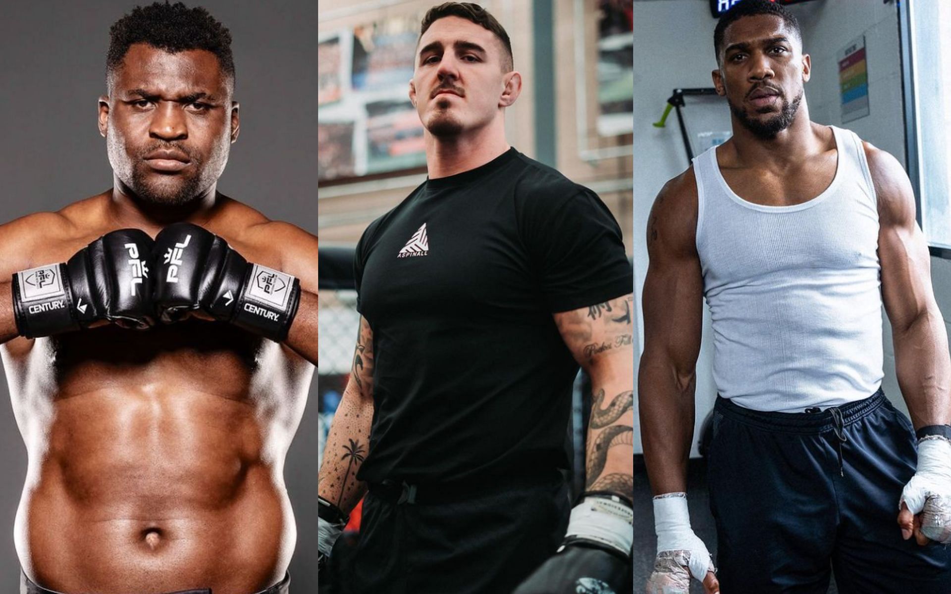 Tom Aspinall (middle) breaks down Francis Ngannou (left) versus Anthony Joshua (right) in MMA [Images Courtesy: @anthonyjoshua, @francisngannou and @tomaspinallofficial on Instagram]