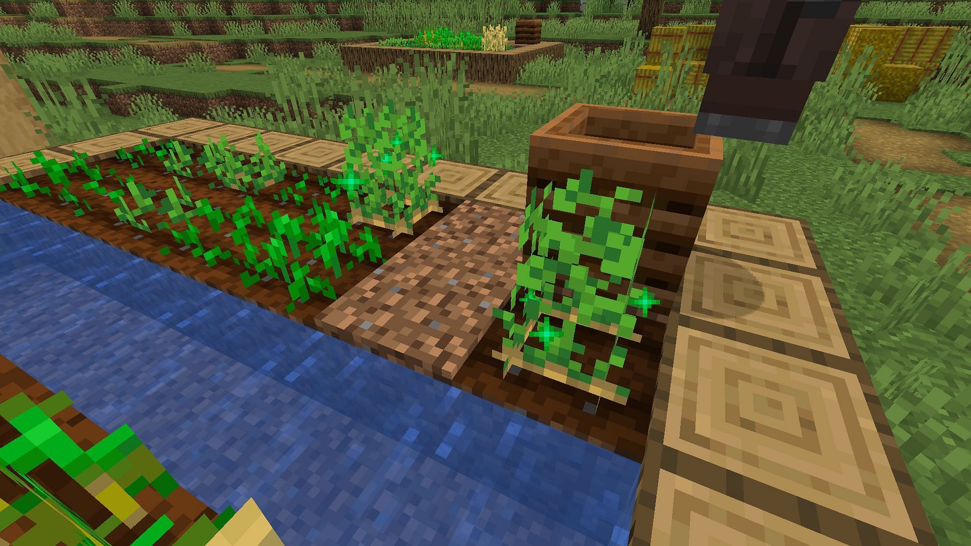 Villages are a great way to find crops (Image via Mojang)
