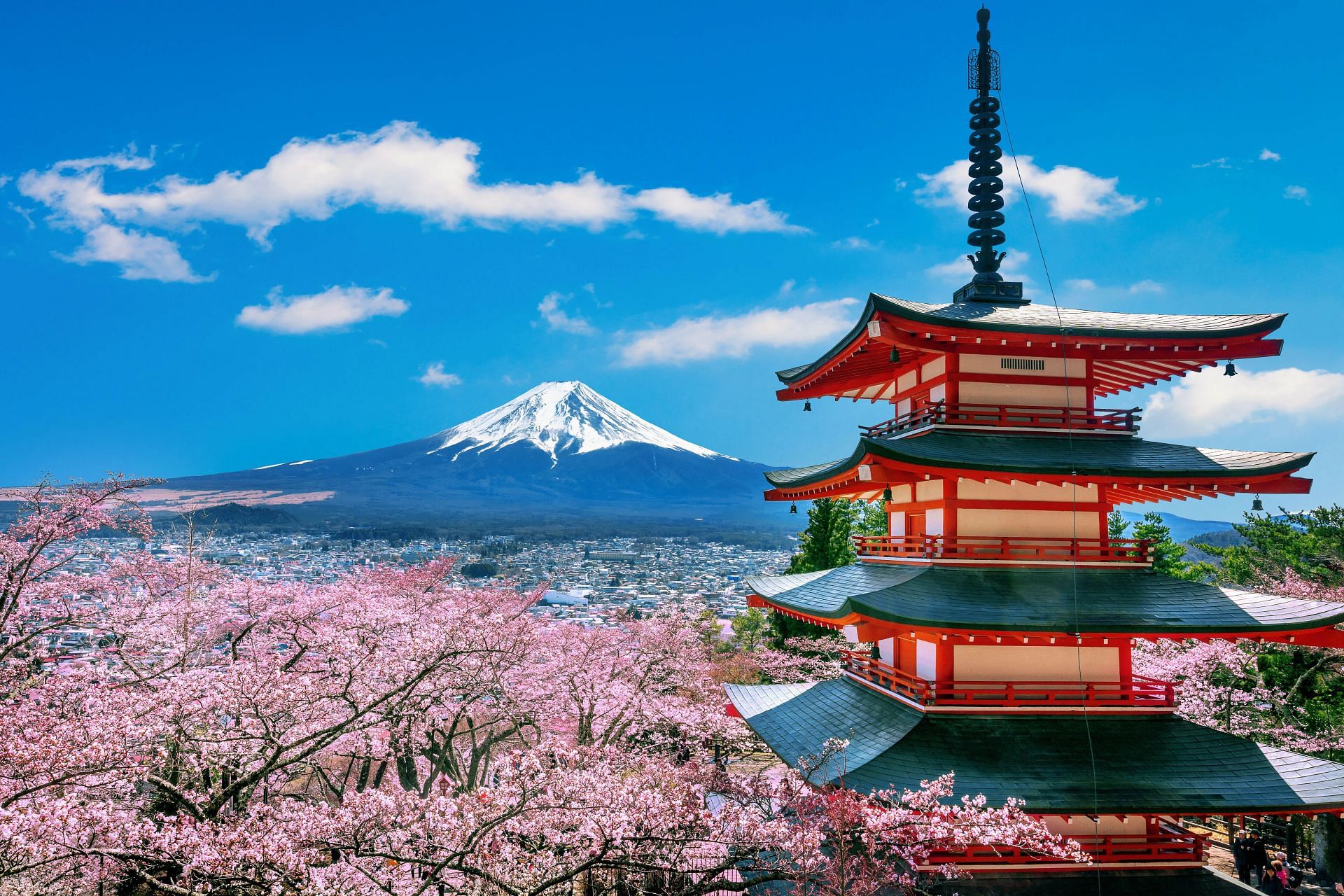 Top activities to experience in Japan in 2024 (Image via freepik.com)