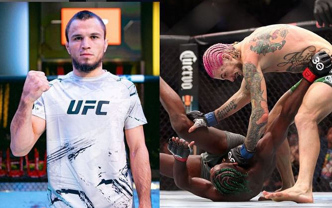 "How is it possible?" - Aljamain Sterling's performance against Sean O'Malley left Umar Nurmagomedov in disbelief
