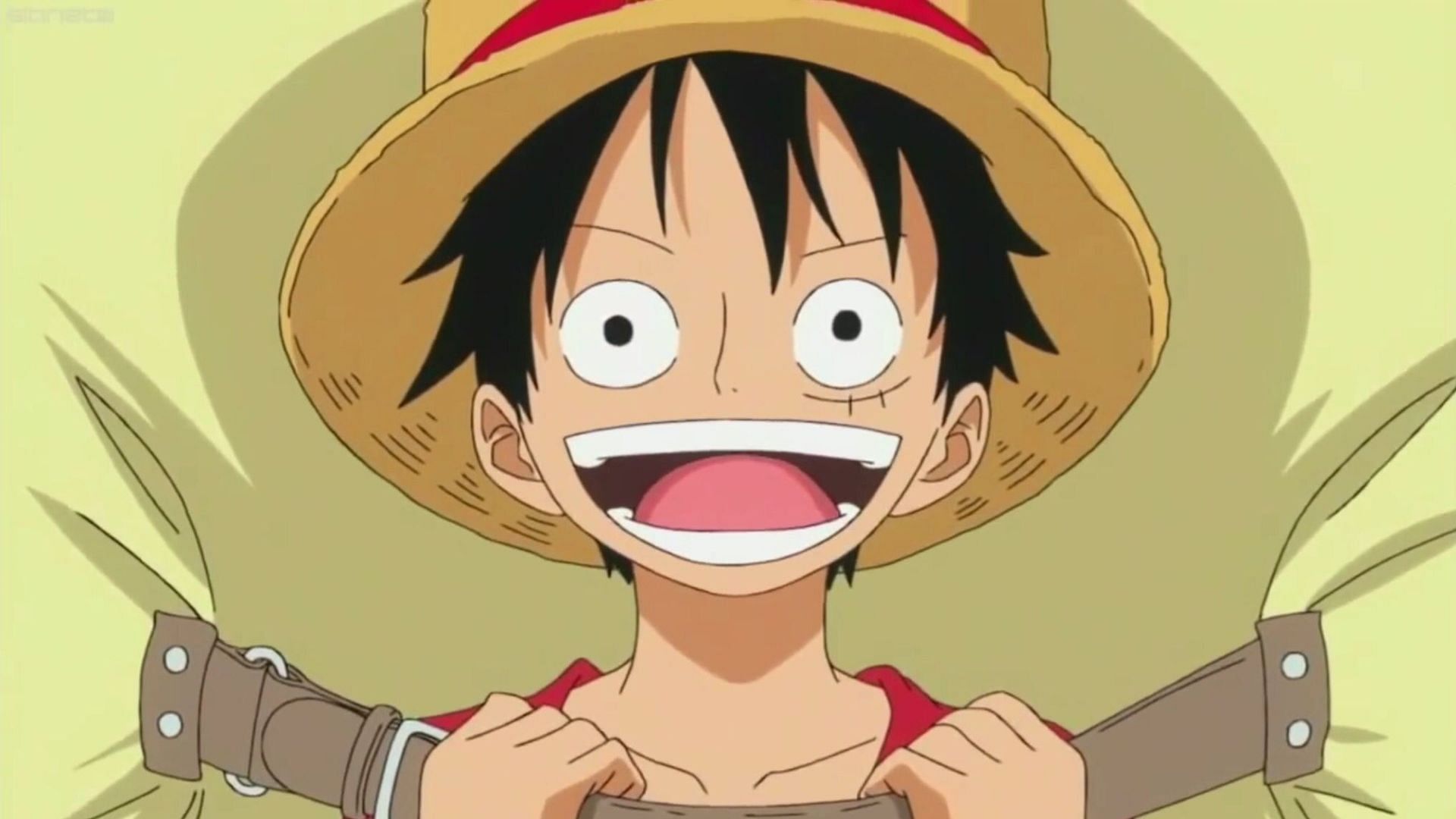 Monkey D. Luffy (image via Toei Animation)