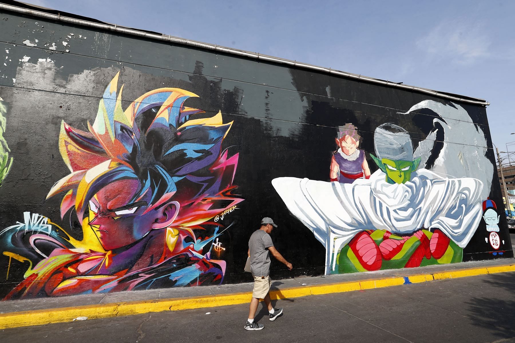 A part of the mural featuring Goku and Piccolo (Image via X/@catsuka)