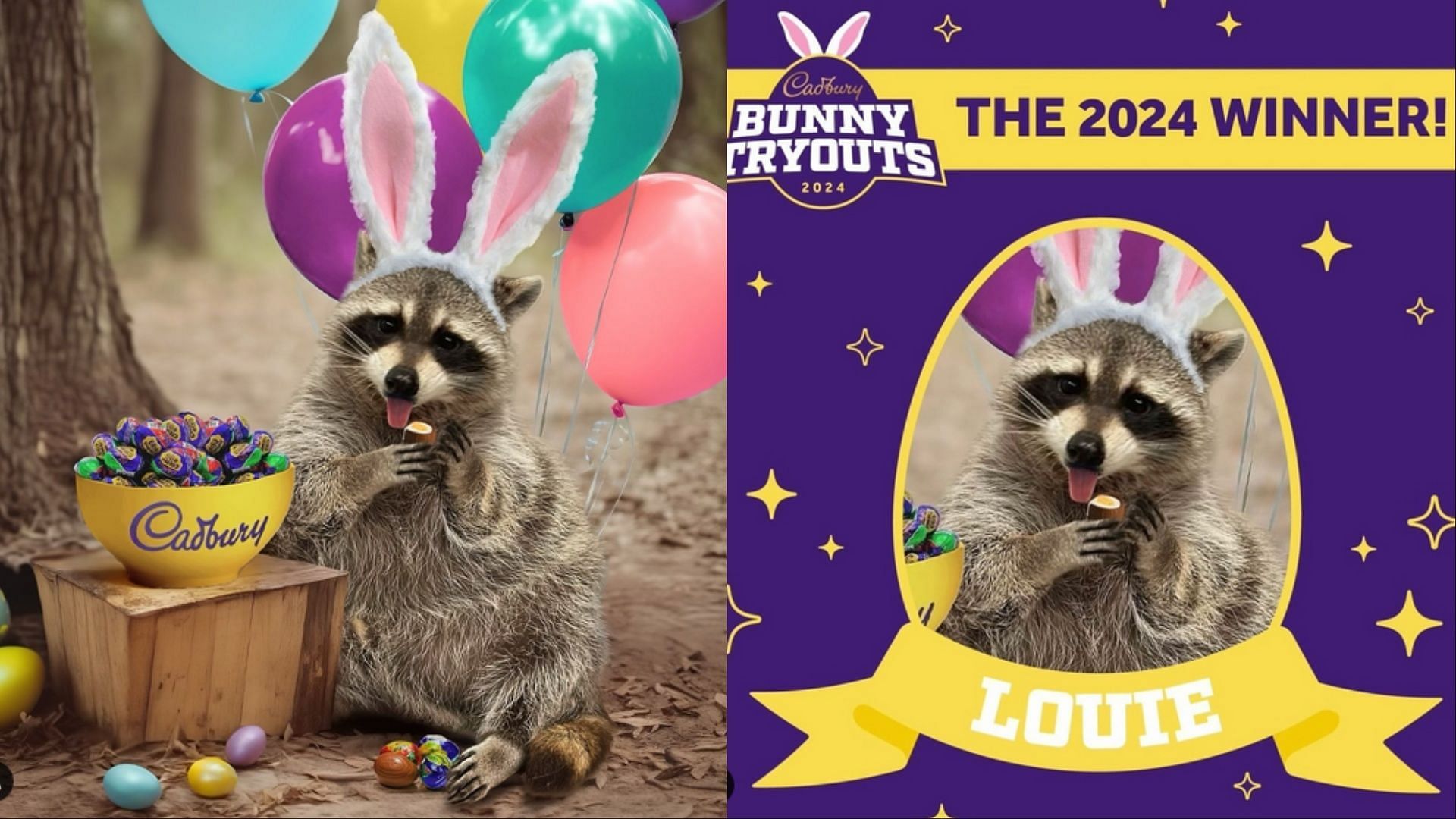 Louie the Raccoon is the winner of Hershey