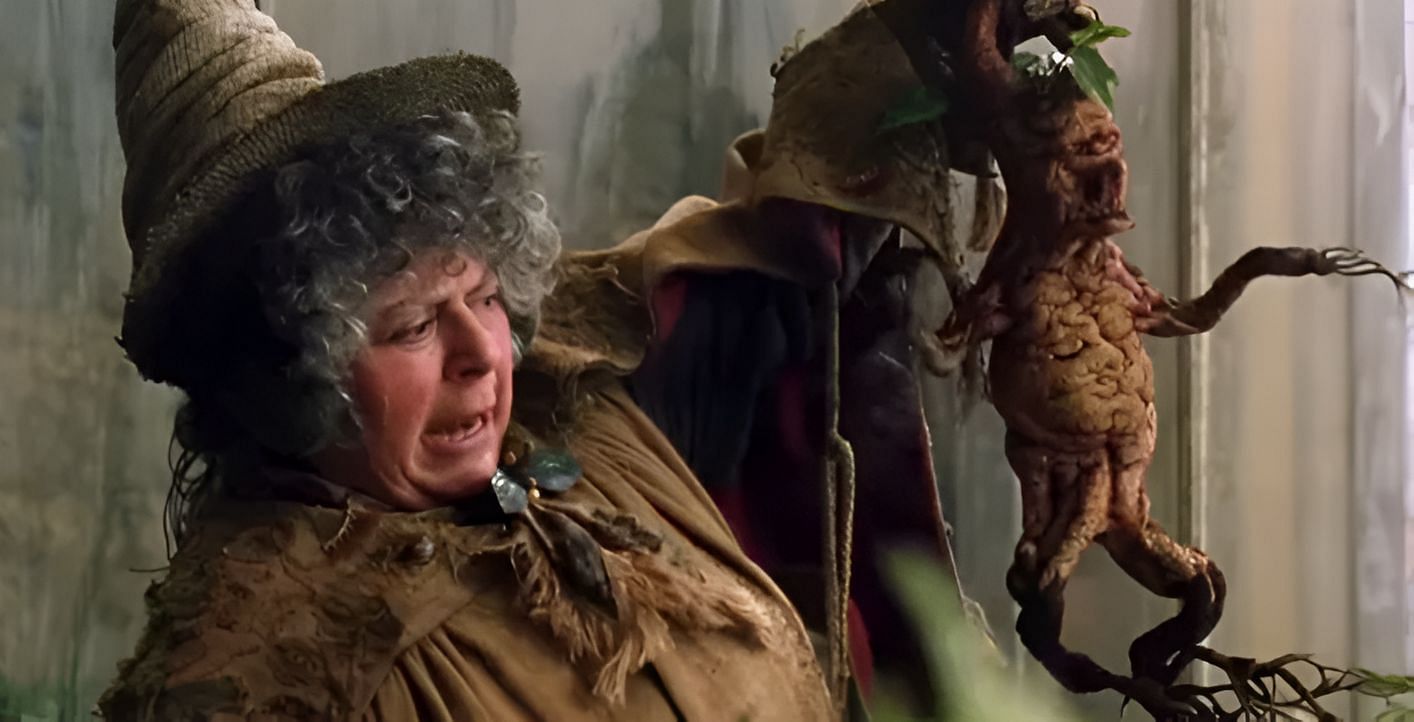 Miriam Margolyes comments on Harry Potter series (image via Warner Bros.)