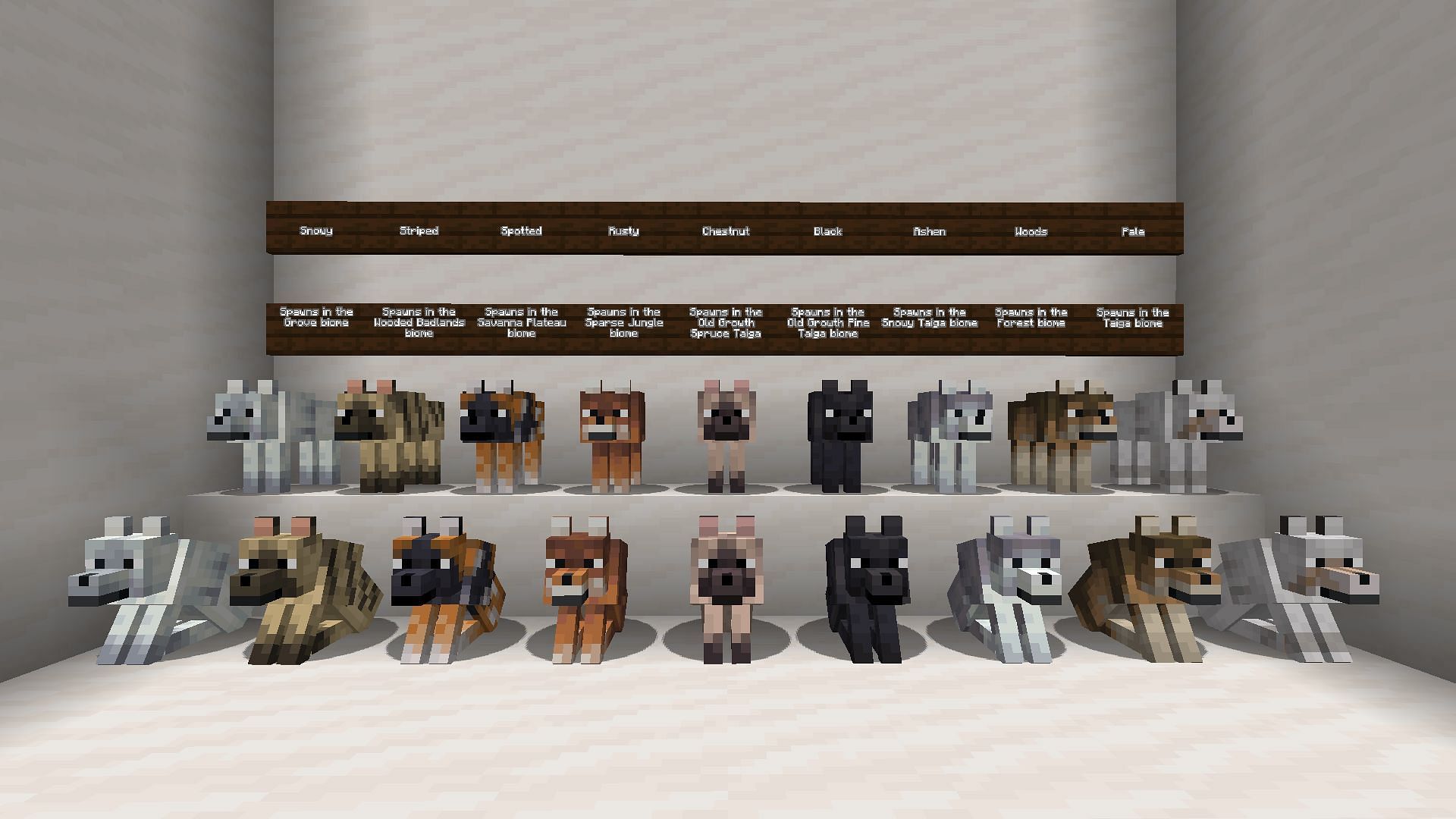 Minecraft 1.20.5 will be a huge update for wolf customization (Image via Mojang)