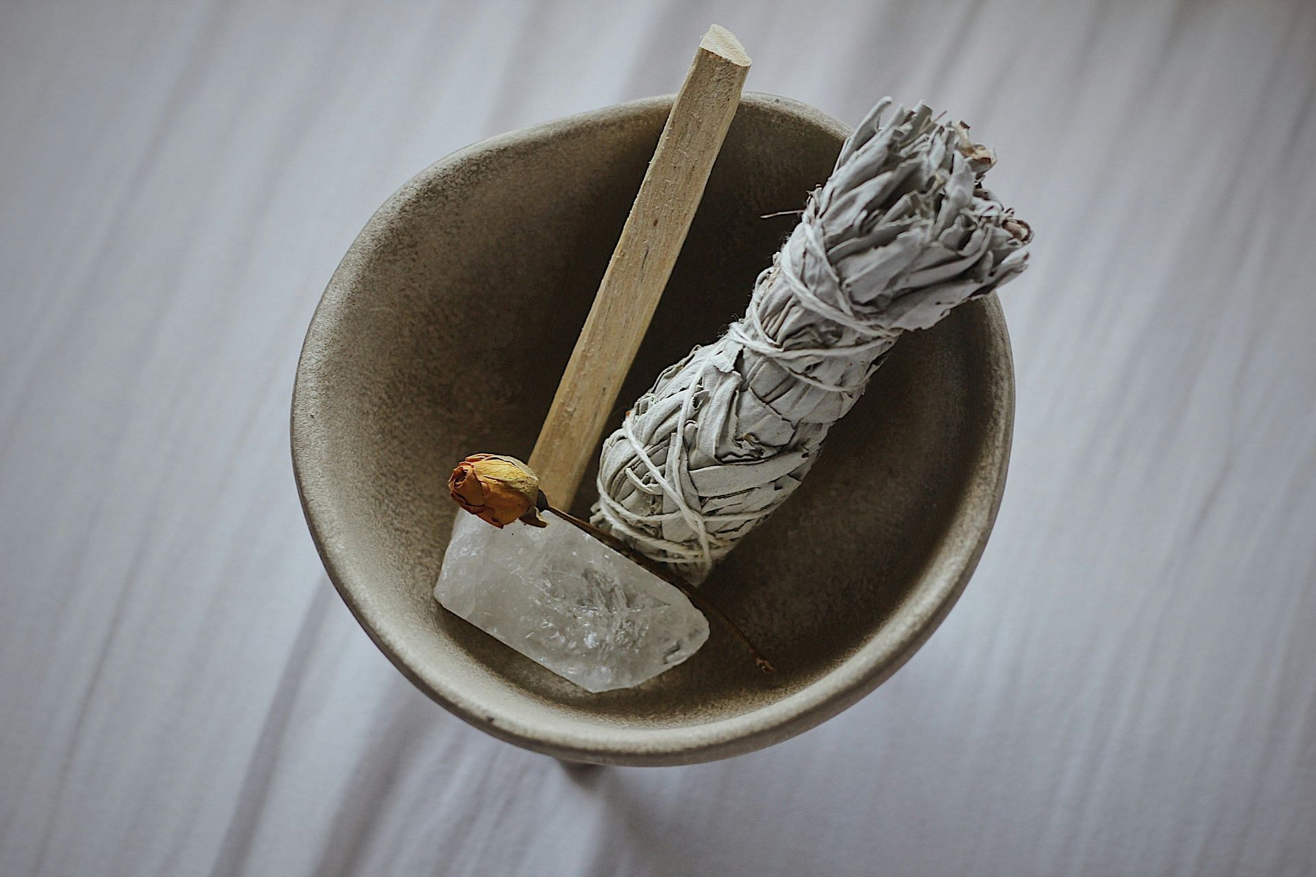 What is a sage herb and are there any benefits of using sage? (Image by Karly Jones/Unsplash)