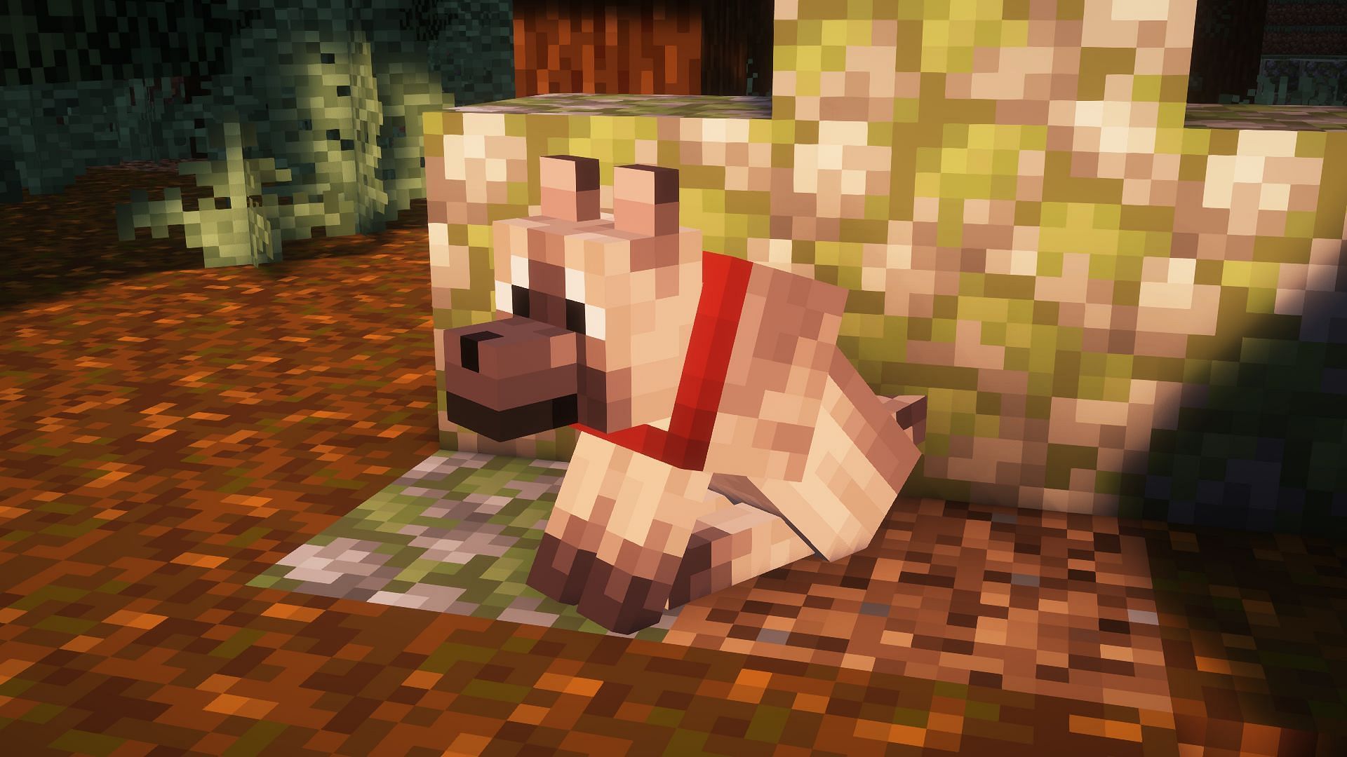 Chestnut wolf (Image via Mojang)