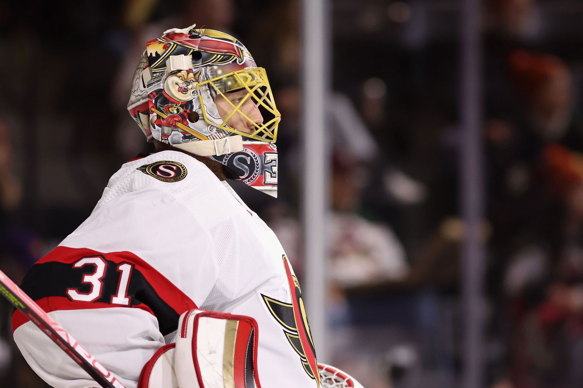 Ottawa Senators - Anton Forsberg