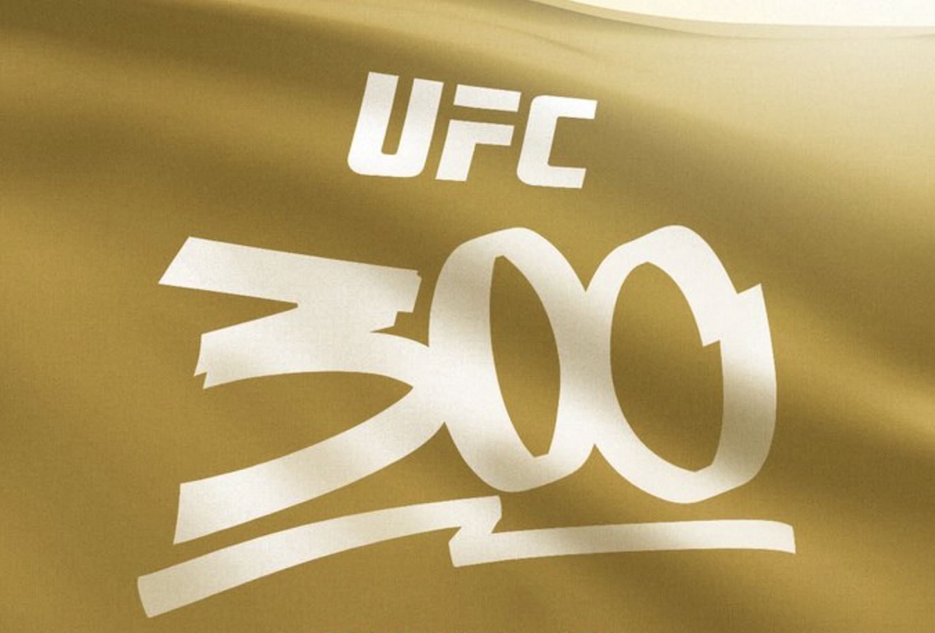 UFC 300