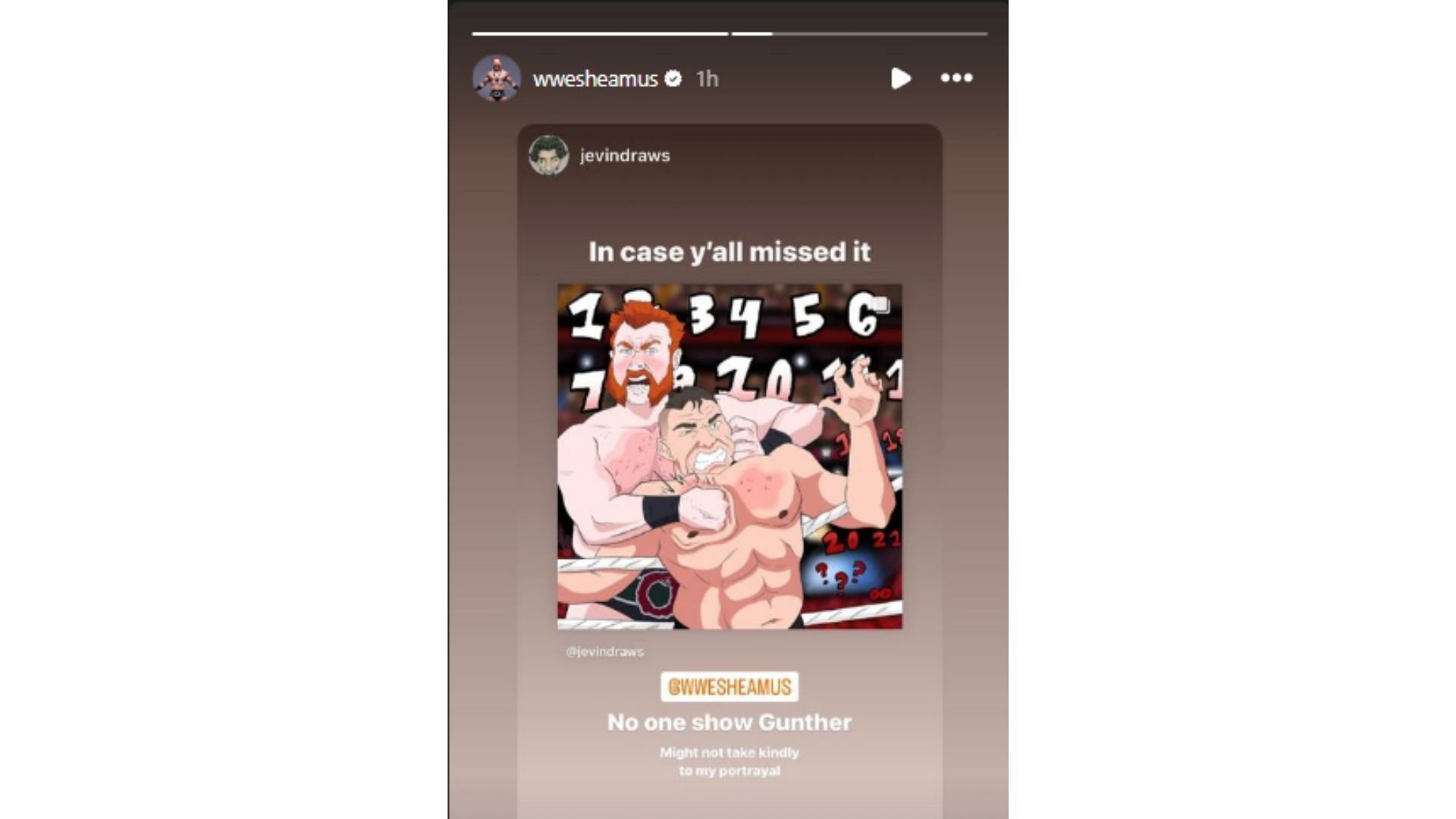Screengrab from Sheamus&#039; recent Instagram story