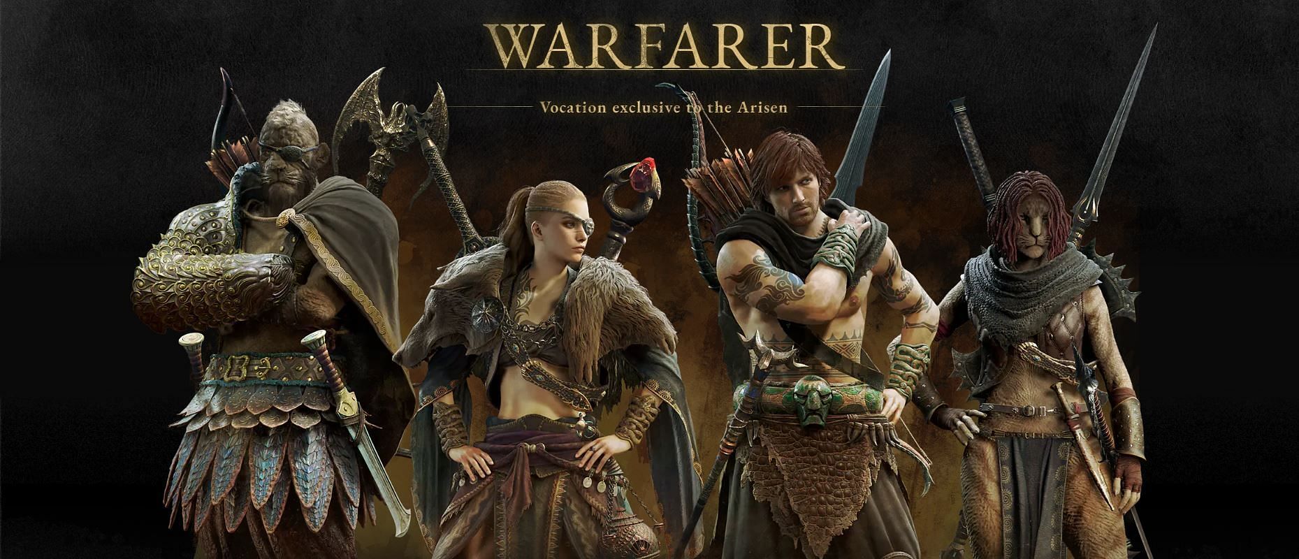 Wayfarer Vocation (Image via Capcom)