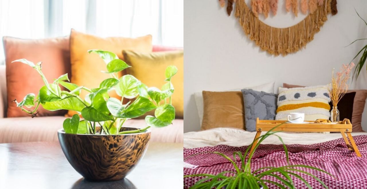 Summer decor ideas for your home