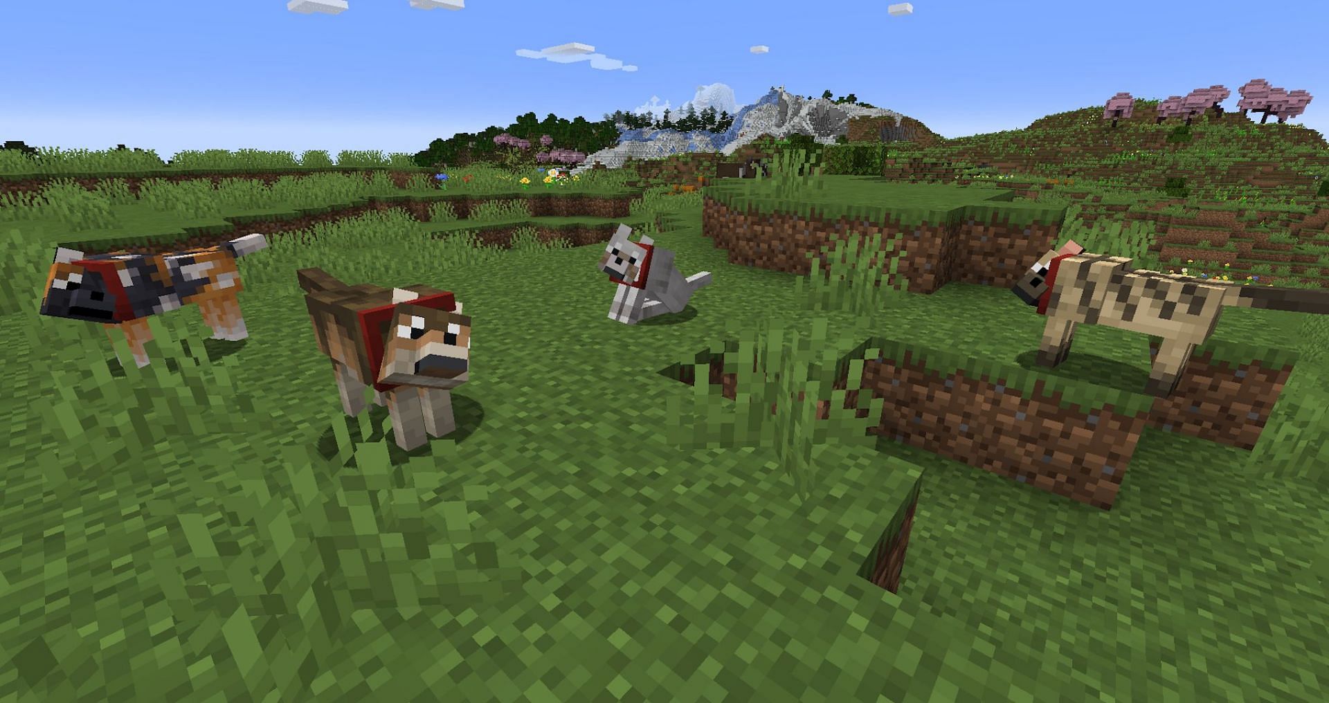 Wolf variants should be easier to test with after this change. (Image via Mojang)