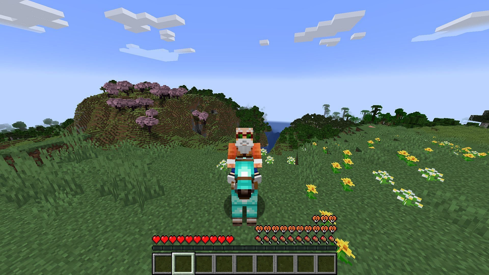 Better Mount HUD makes riding a mount a bit more useful overall (Image via Mojang)