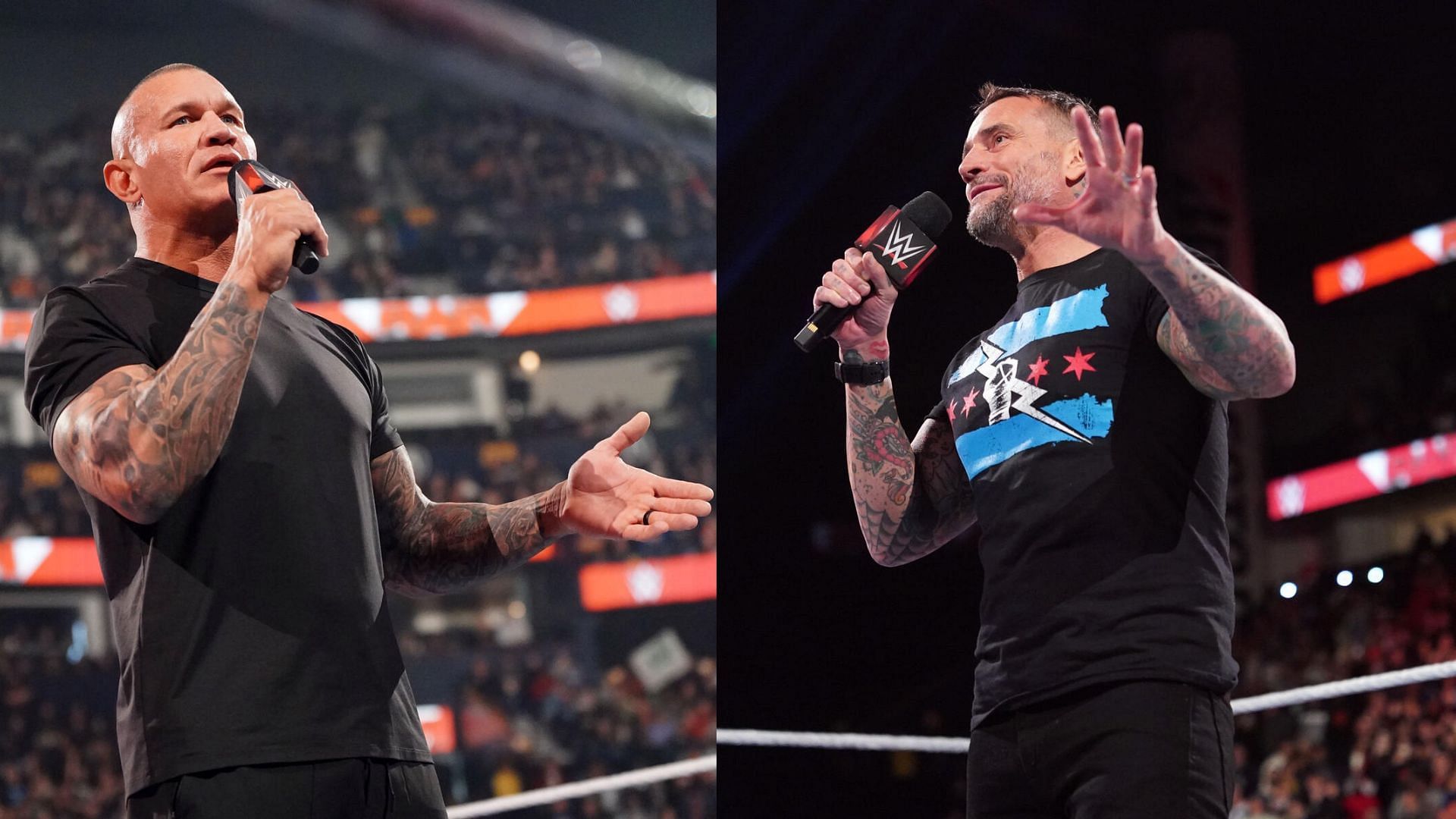 Randy Orton and CM Punk in picture