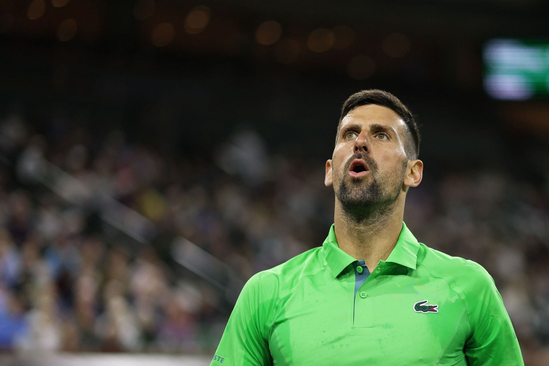 Novak Djokovic at BNP Paribas Open 2024
