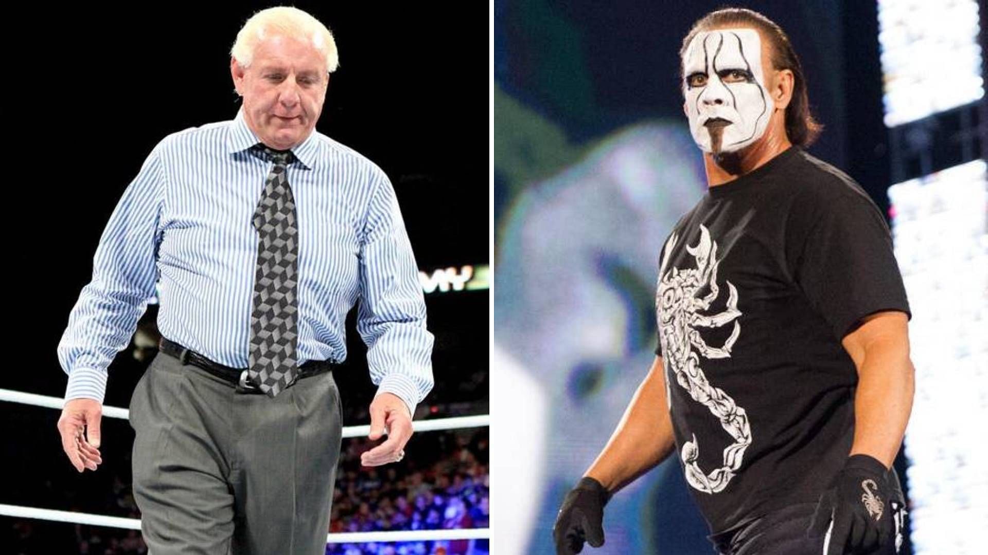 Ric Flair and Sting