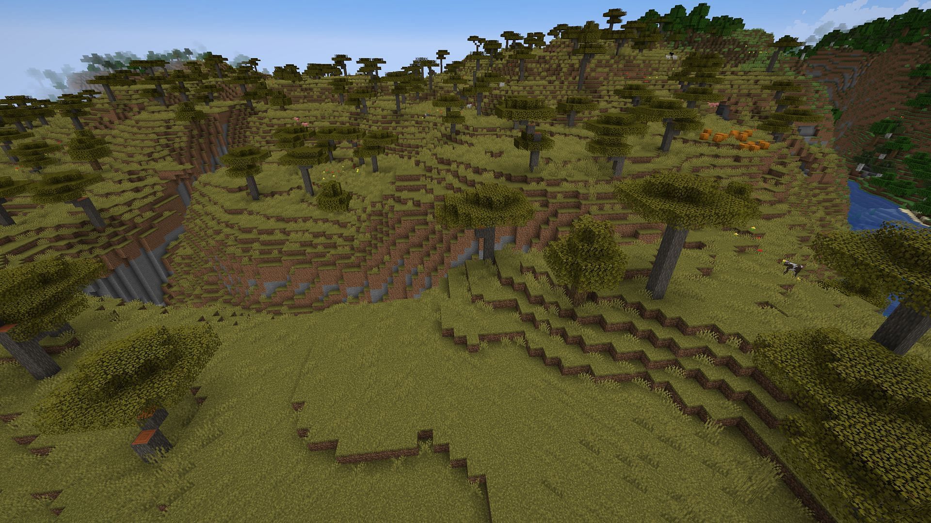 Finding a savanna now will only save time in the long run (Image via Mojang Studios)