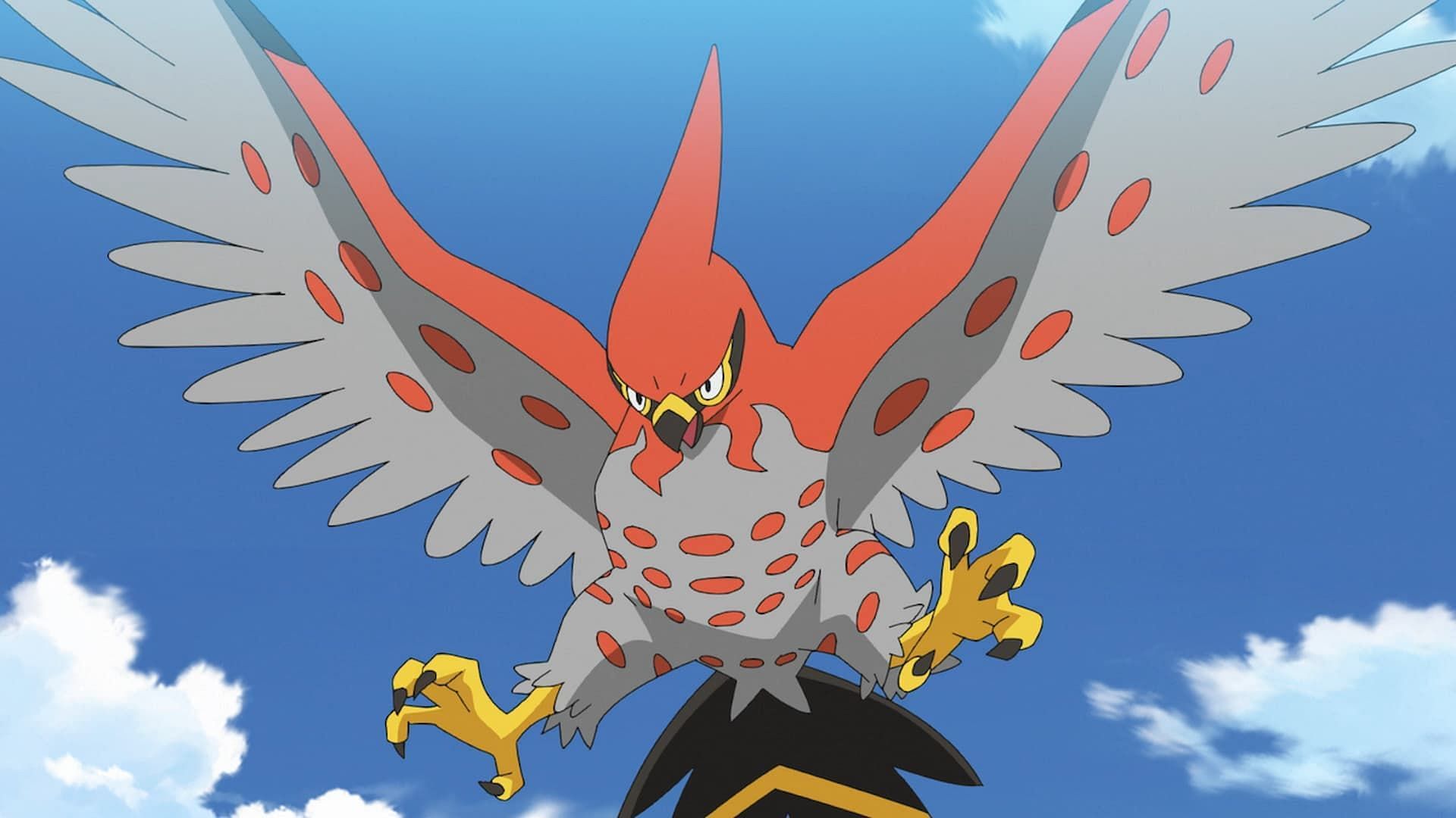 Talonflame in the anime (Image via The Pokemon Company)