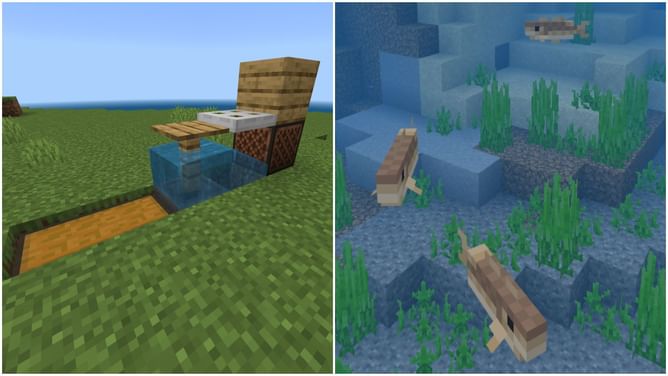 How to make an AFK fish farm in Minecraft Bedrock