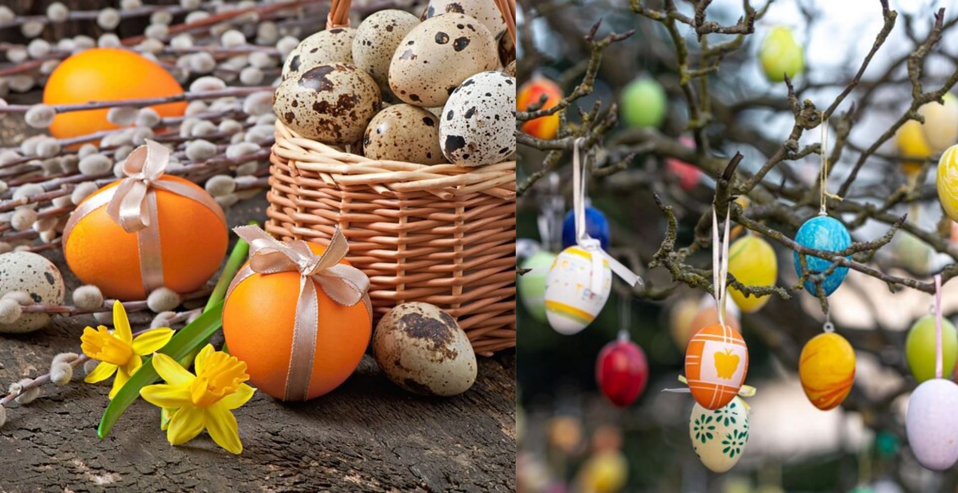 8 Best ways to set up Easter Yard decor in 2024