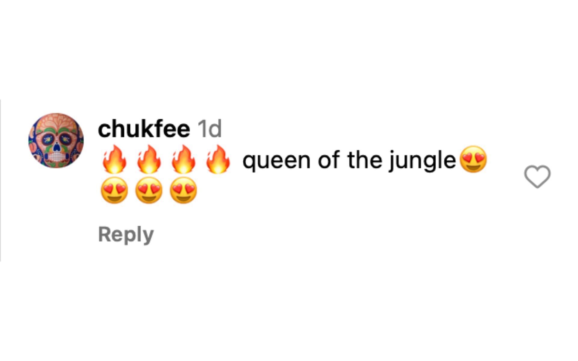 Fan calling Paige VanZant a &quot;queen of the jungle&quot; on Instagram [via @paigevanzant on Instagram]