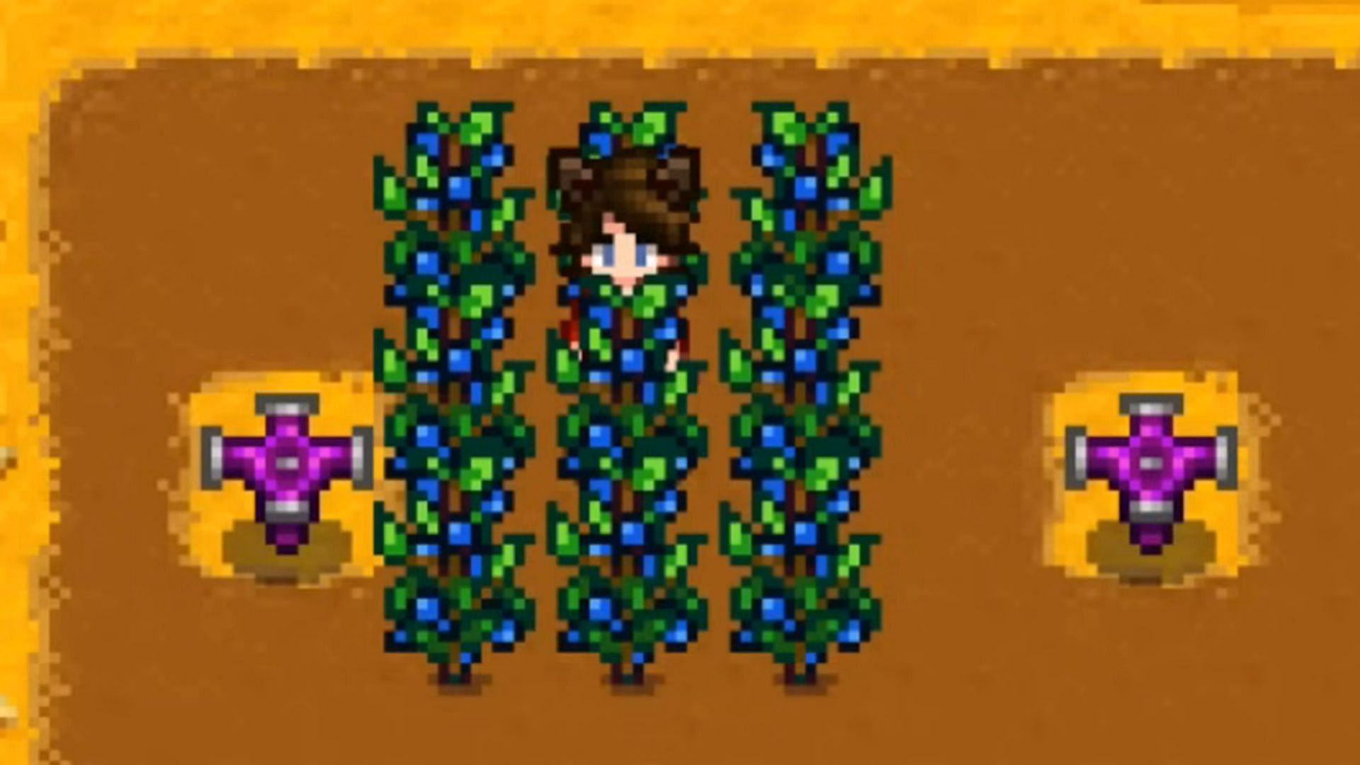 Blueberry crops in Stardew Valley (Image via ConcernedApe || YouTube: @Salmence)