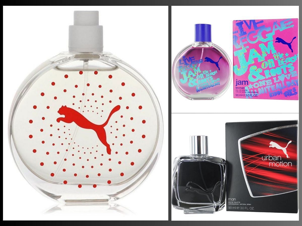 6 Best Puma perfumes to avail in 2024