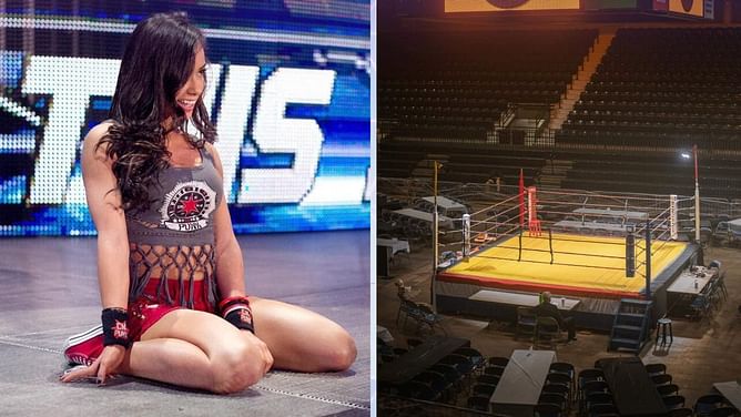 Former champion references AJ Lee at WWE show