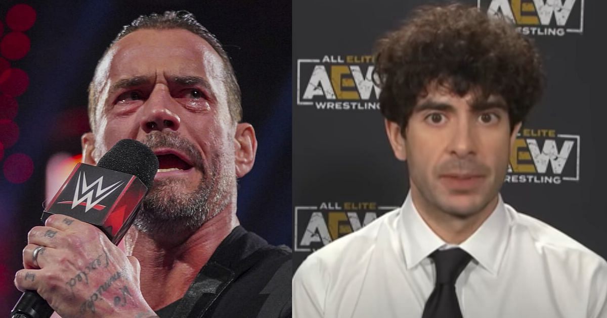 AEW fired CM Punk last year [Photo credit: WWE gallery and AEW YouTube]