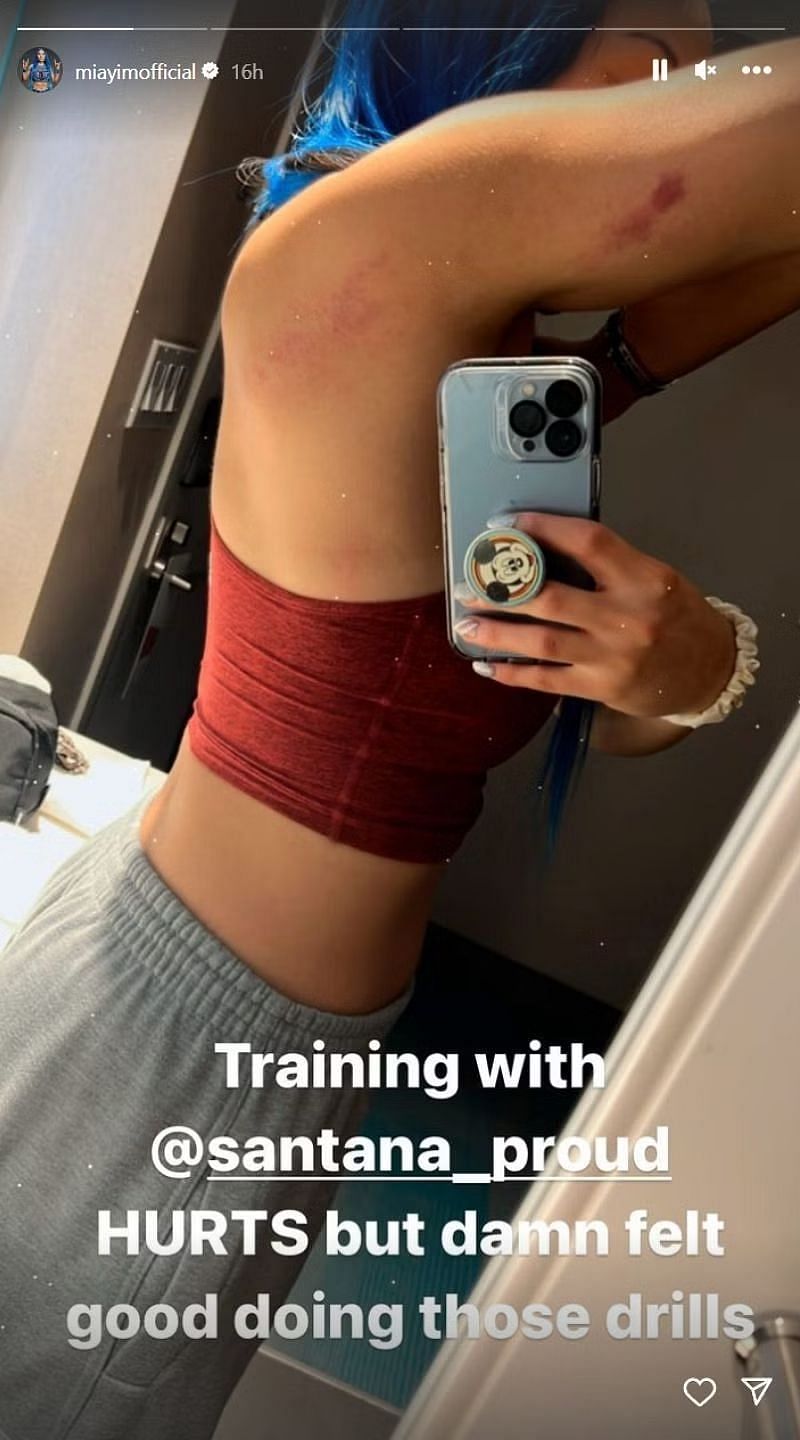Mia Yim trains with Mike Santana, from her Instagram Stories