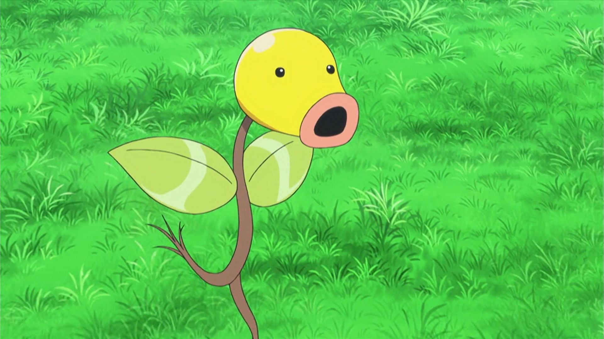 Bellsprout was the Pokedle Classic answer on April 8, 2024 (Image via The Pokemon Company)