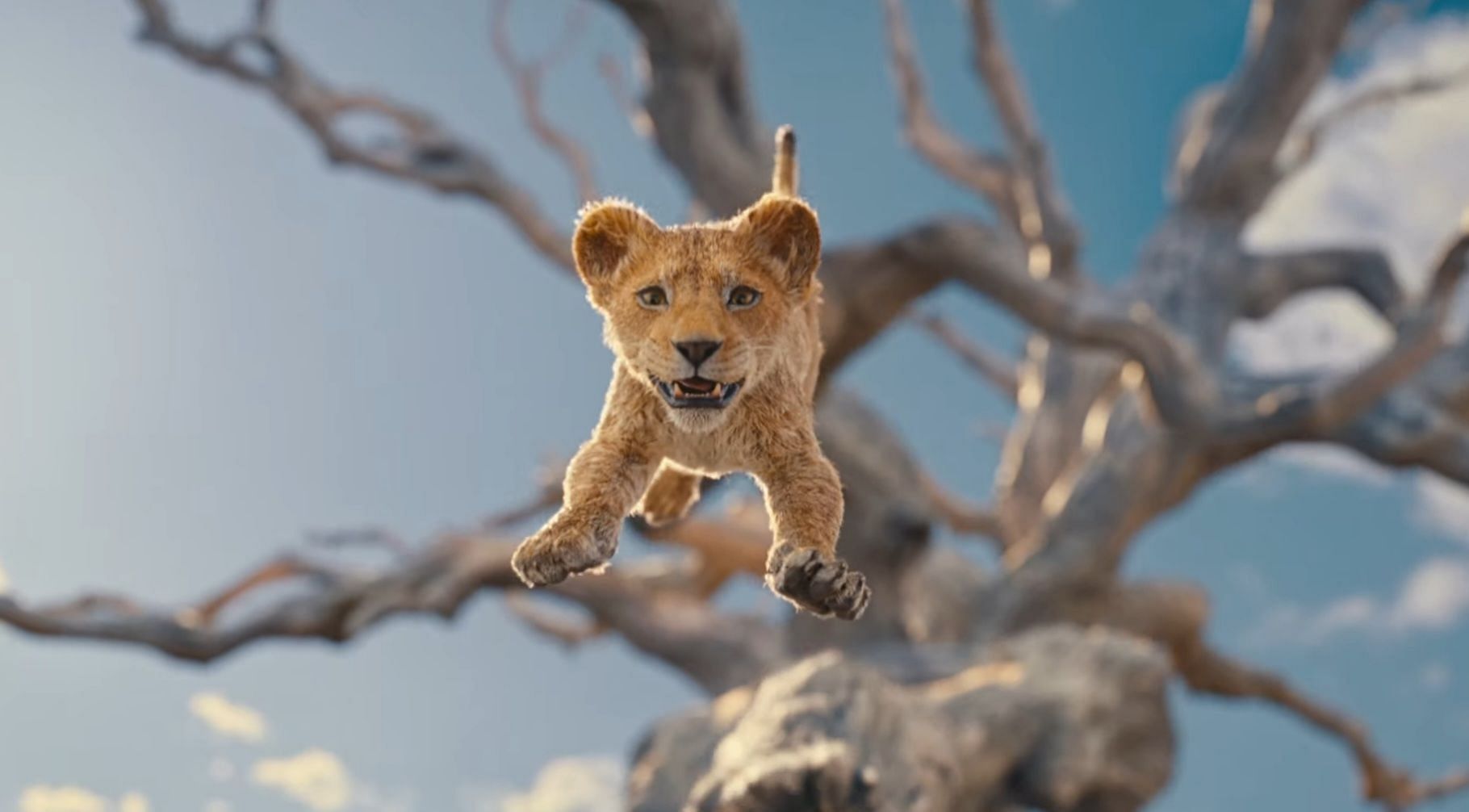 A still from Mufasa: The Lion King (Image via Walt Disney Studios, Mufasa: The Lion King teaser, 01:12)