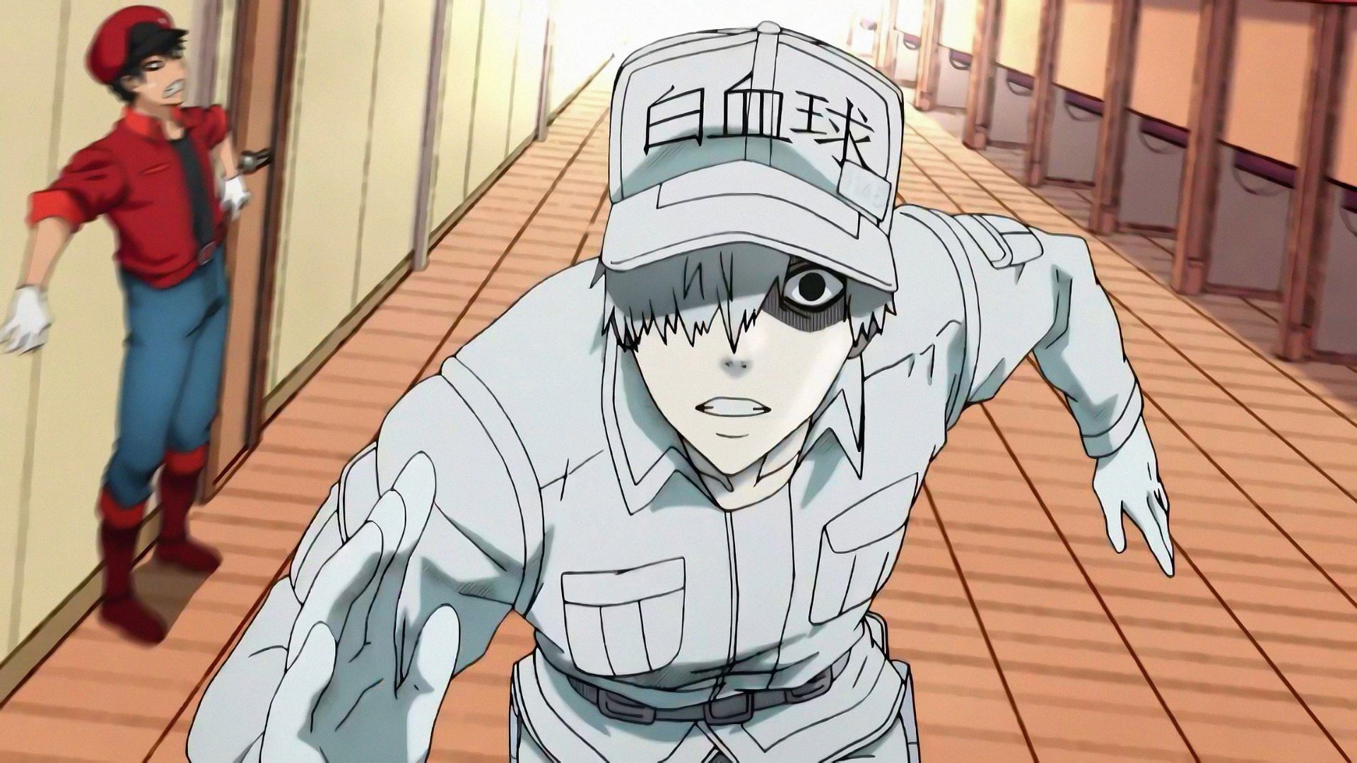 Cells at Work! (Image via David Production)