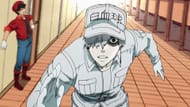 Cells at Work! (Image via David Production)