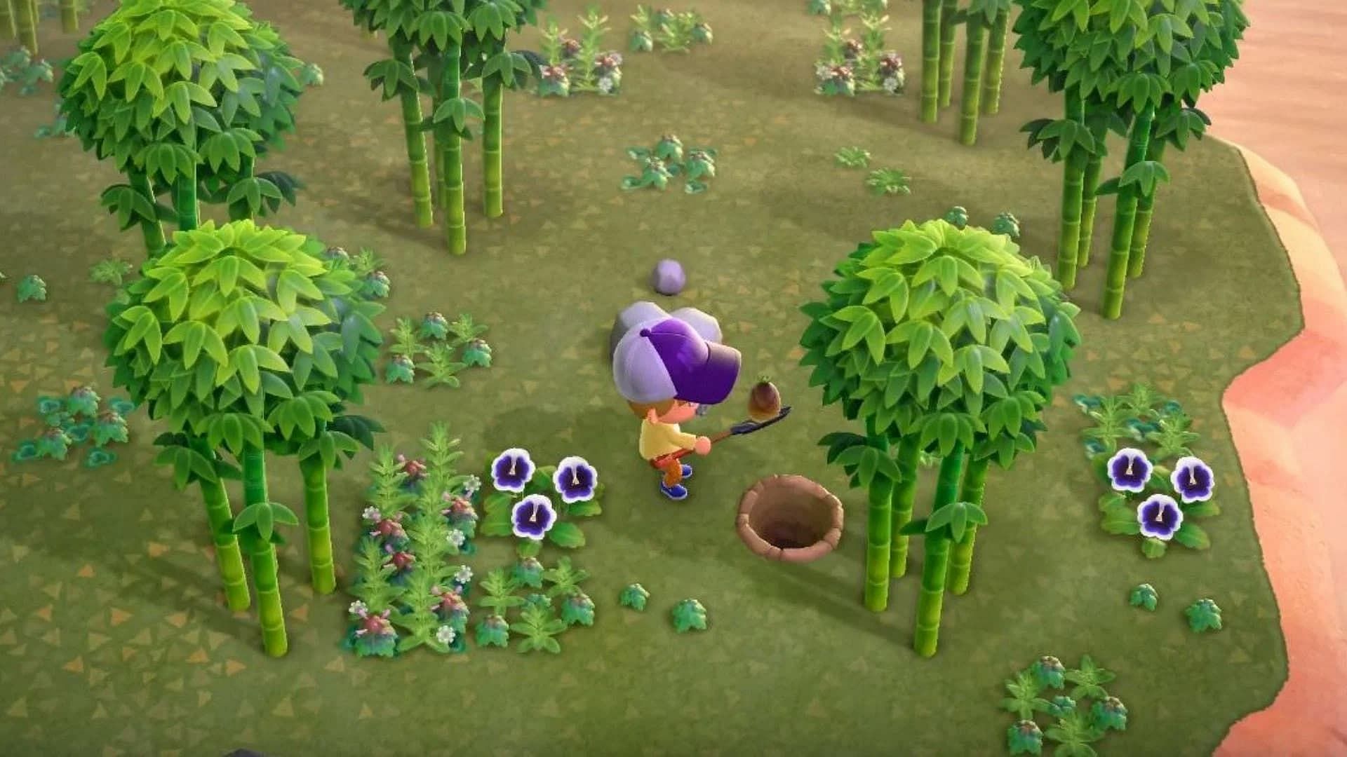 Bamboo Shoots in Animal Crossing