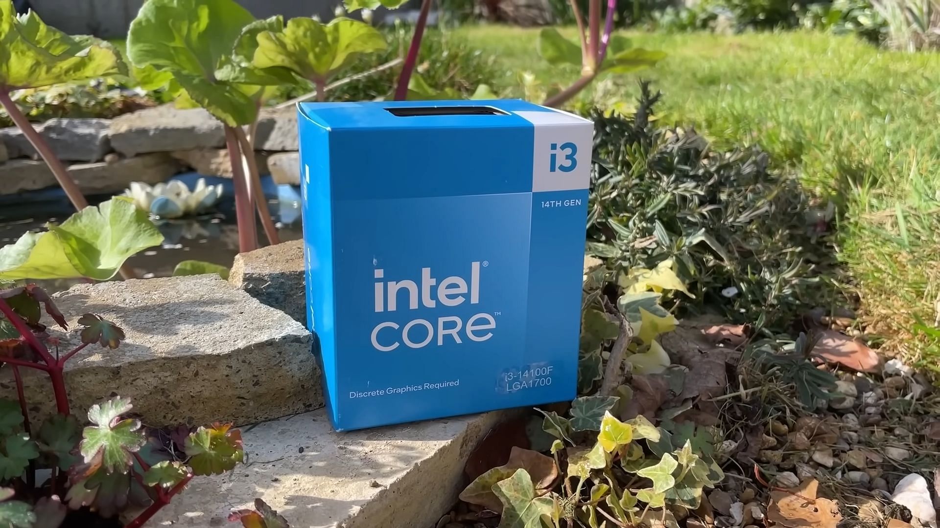 Picture of Core i3-14100F with no iGPU