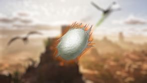 Best location to get Silk in Ark Survival Ascended