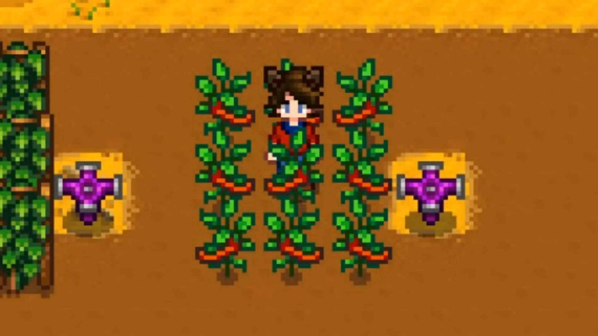 Hot Pepper crops in Stardew Valley (Image via ConcernedApe || YouTube: @Salmence)