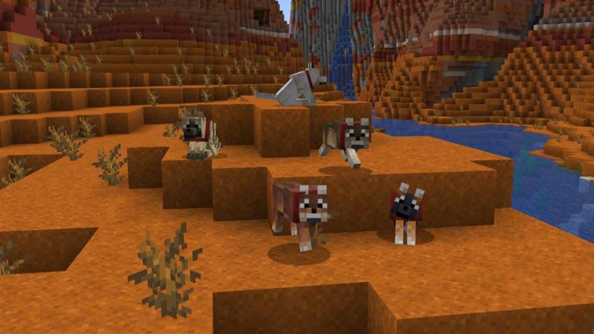 Different variants of the wolves in Minecraft (Image via Mojang Studios)
