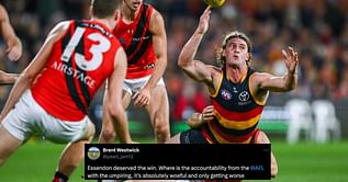 "Absolutely woeful and only getting worse" - AFL fans slam standard of umpiring in Adelaide Crows vs Essendon Bombers clash