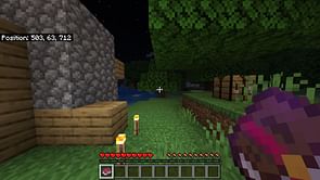 5 best activities for Minecraft beginners on survival servers