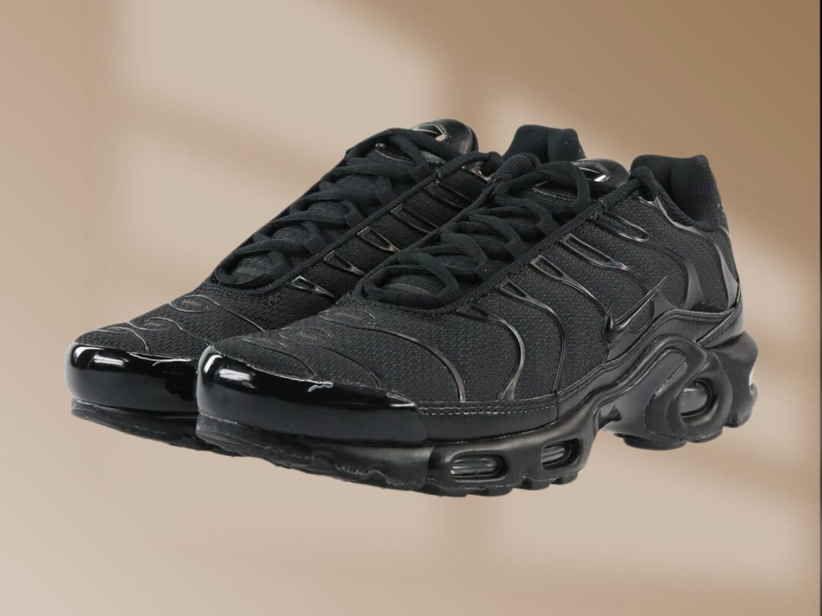 The Nike Air Max Plus (Image via Amazon)