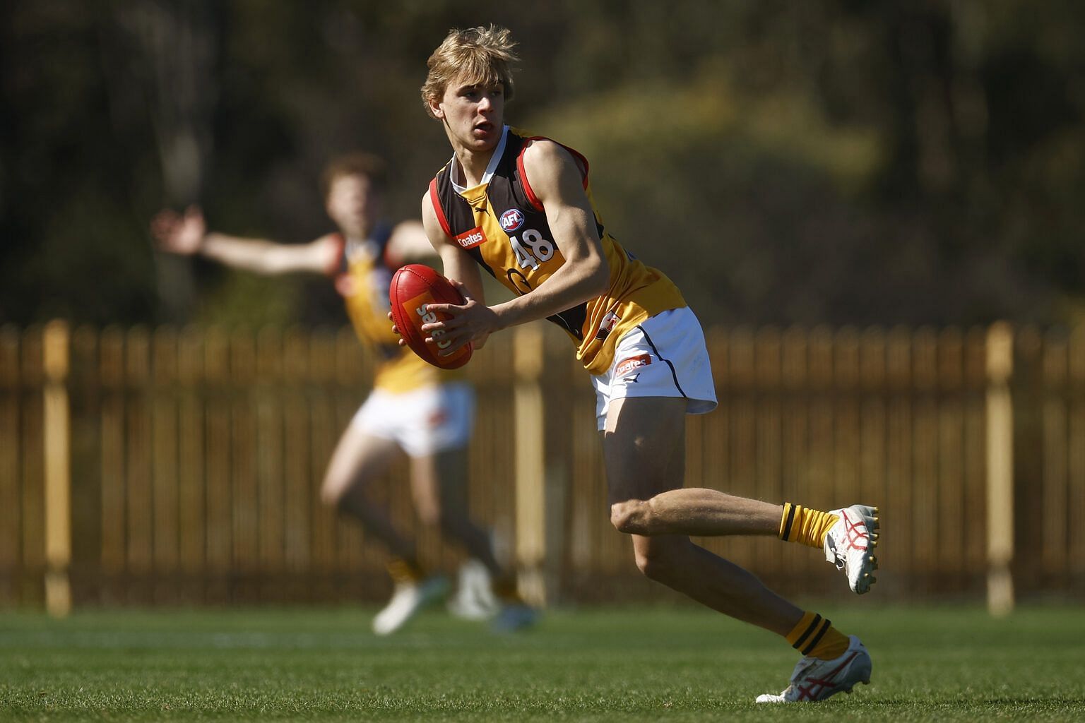 Ben Hopkins could be a long-term replacement for Nathan Murphy