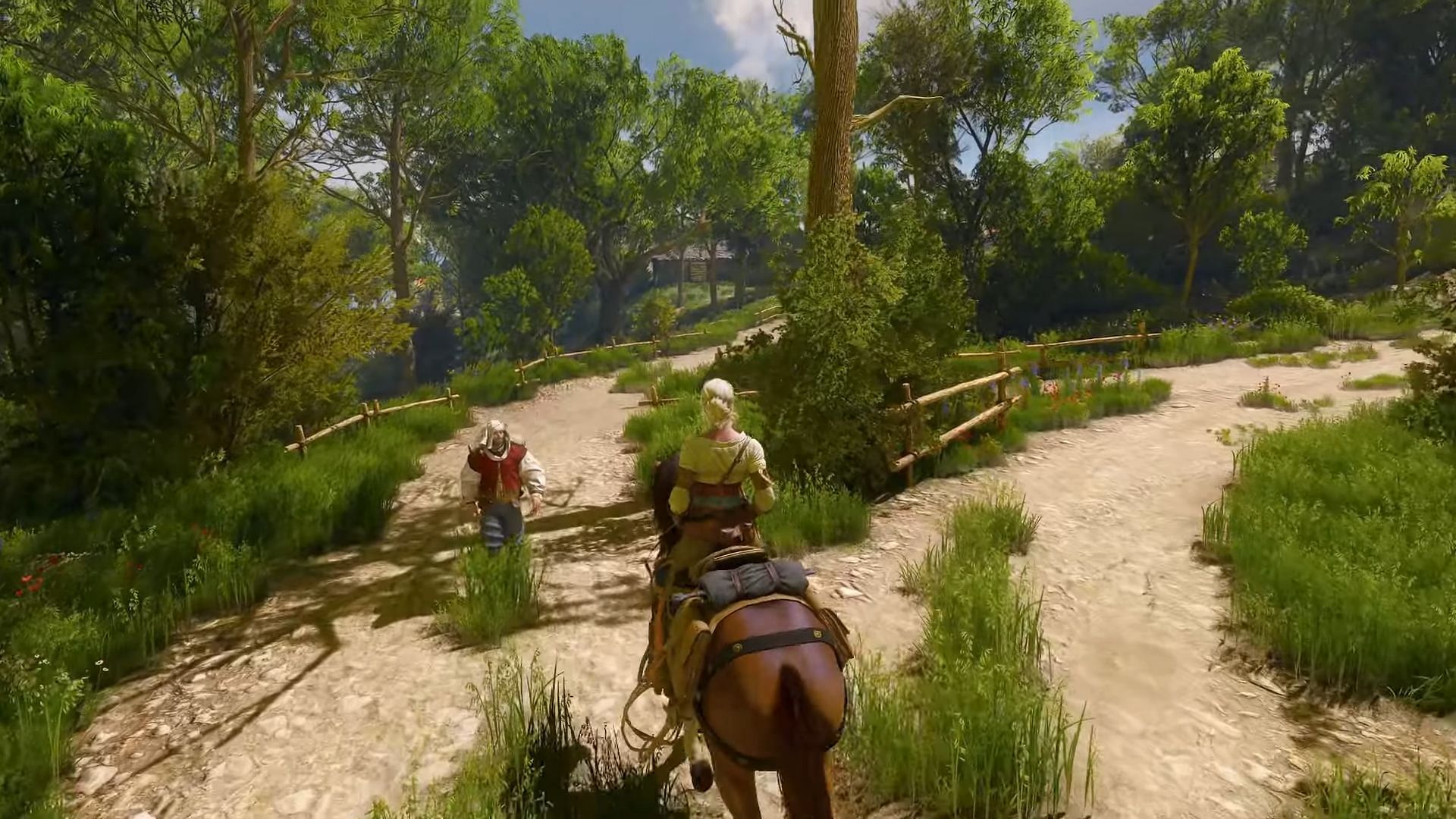 There&#039;s a lot to see on Geralt&#039;s adventures (Image via CD Projekt Red || YouTube/DayDream Gaming)